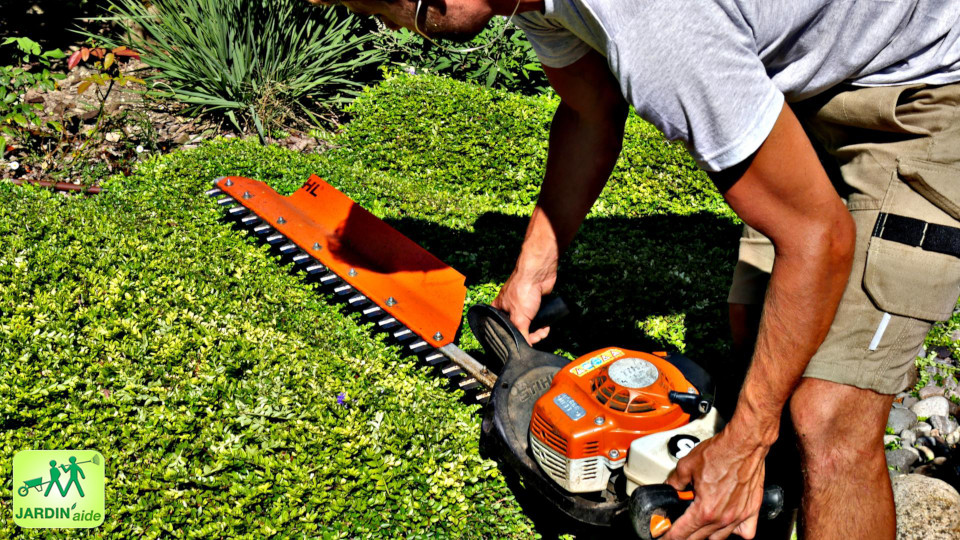 jardin aide 16 entreprise jardinage 86