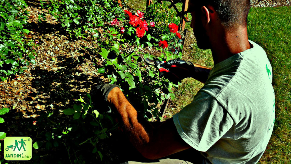 jardin aide 17 entreprise jardinage naintré 86